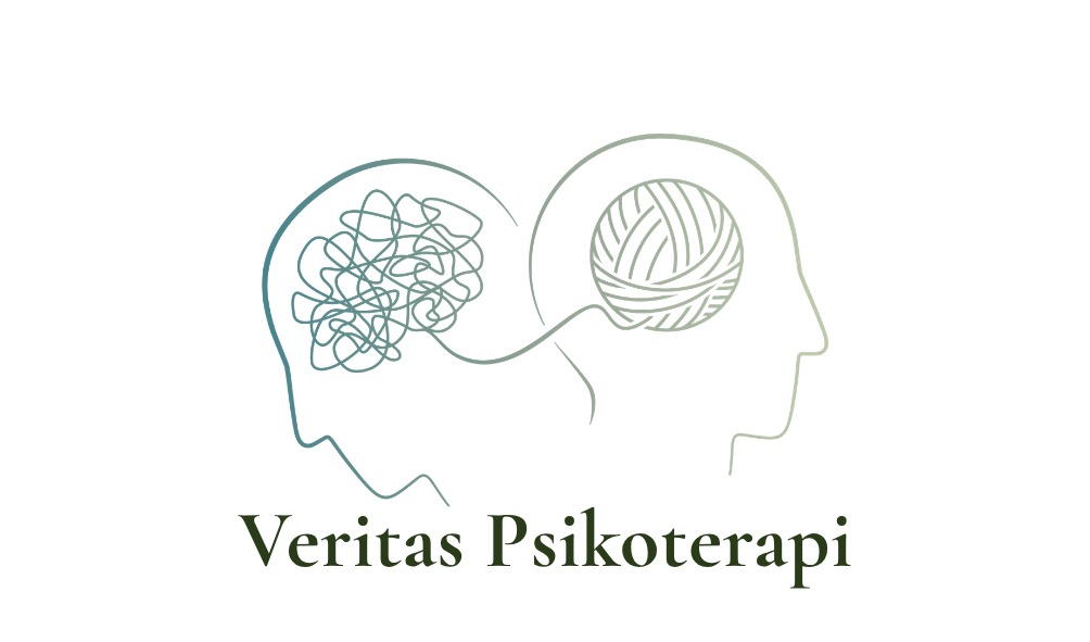 Deniz Köroğlu Logo